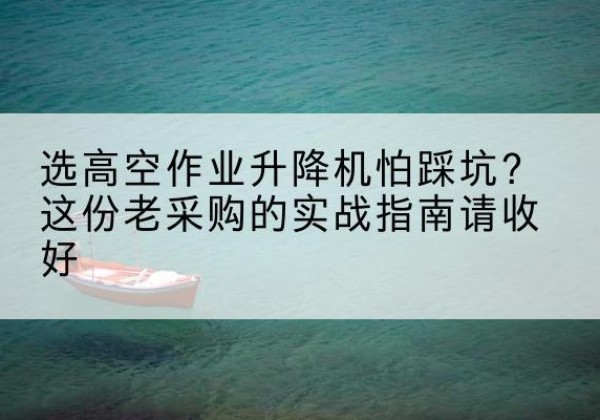 德州高空作业升降机厂家推荐-选高空作业升降机怕踩坑？这份老采购的实战指南请收好