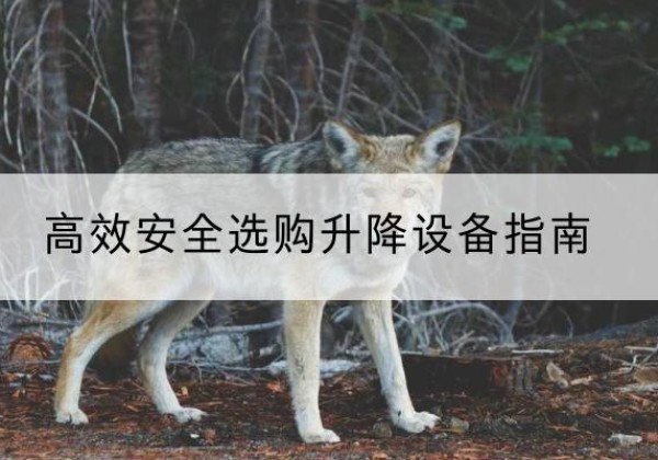 德州升降货梯厂家推荐-*安全选购升降设备指南