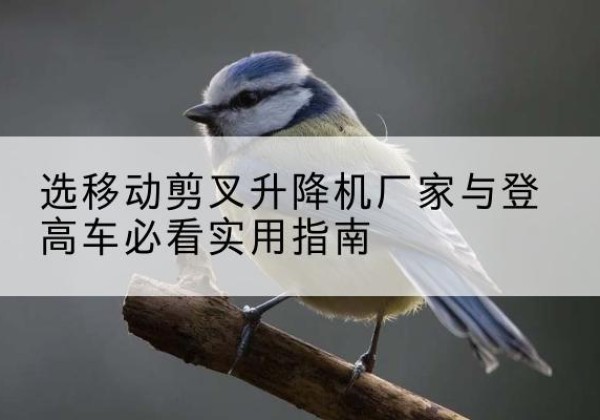 德州电动升降机厂家-选移动剪叉升降机厂家与登高车必看实用指南