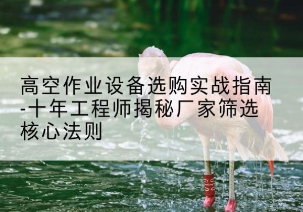 德州剪叉式升降机厂家-高空作业设备选购实战指南-十年工程师揭秘厂家筛选核心法则
